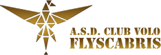 logo-flyscabris-small